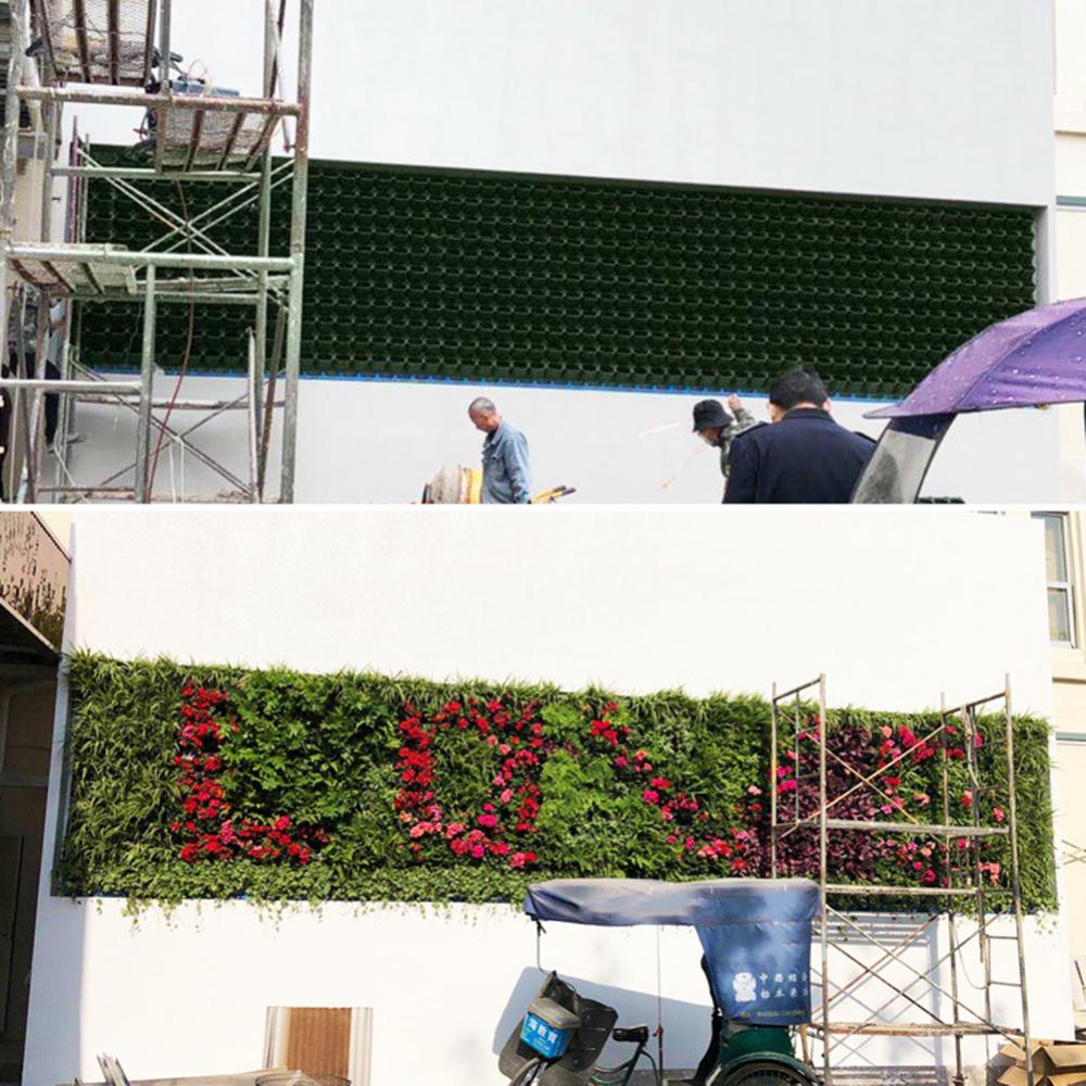 Bonsai Vertical Garden - Wall Mounted Forest Box Multi Holes