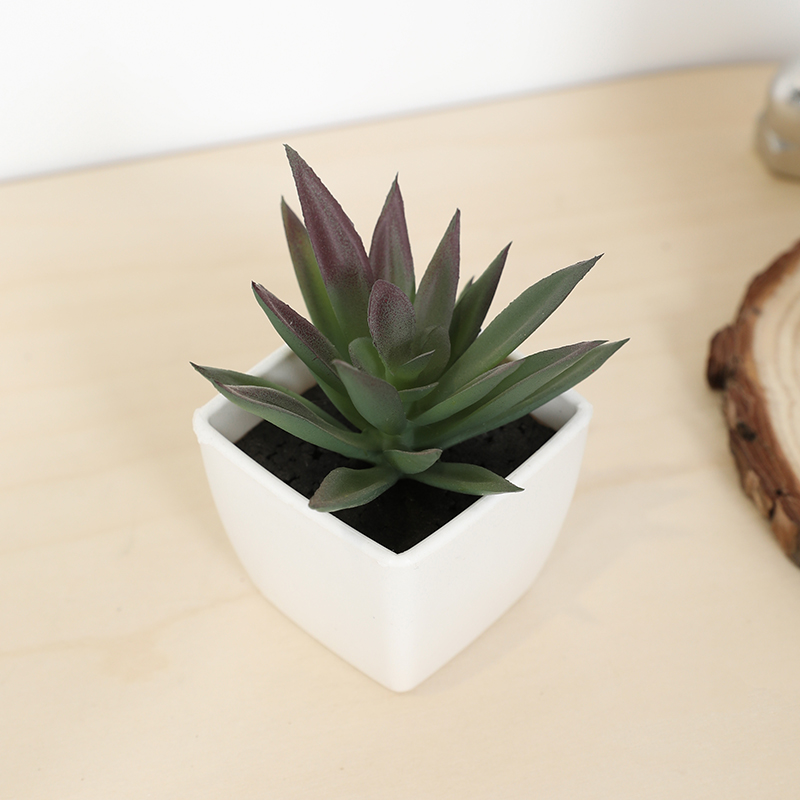 Bonsai Garden Kit - Mini Artificial Succulent Fairy Cup Small