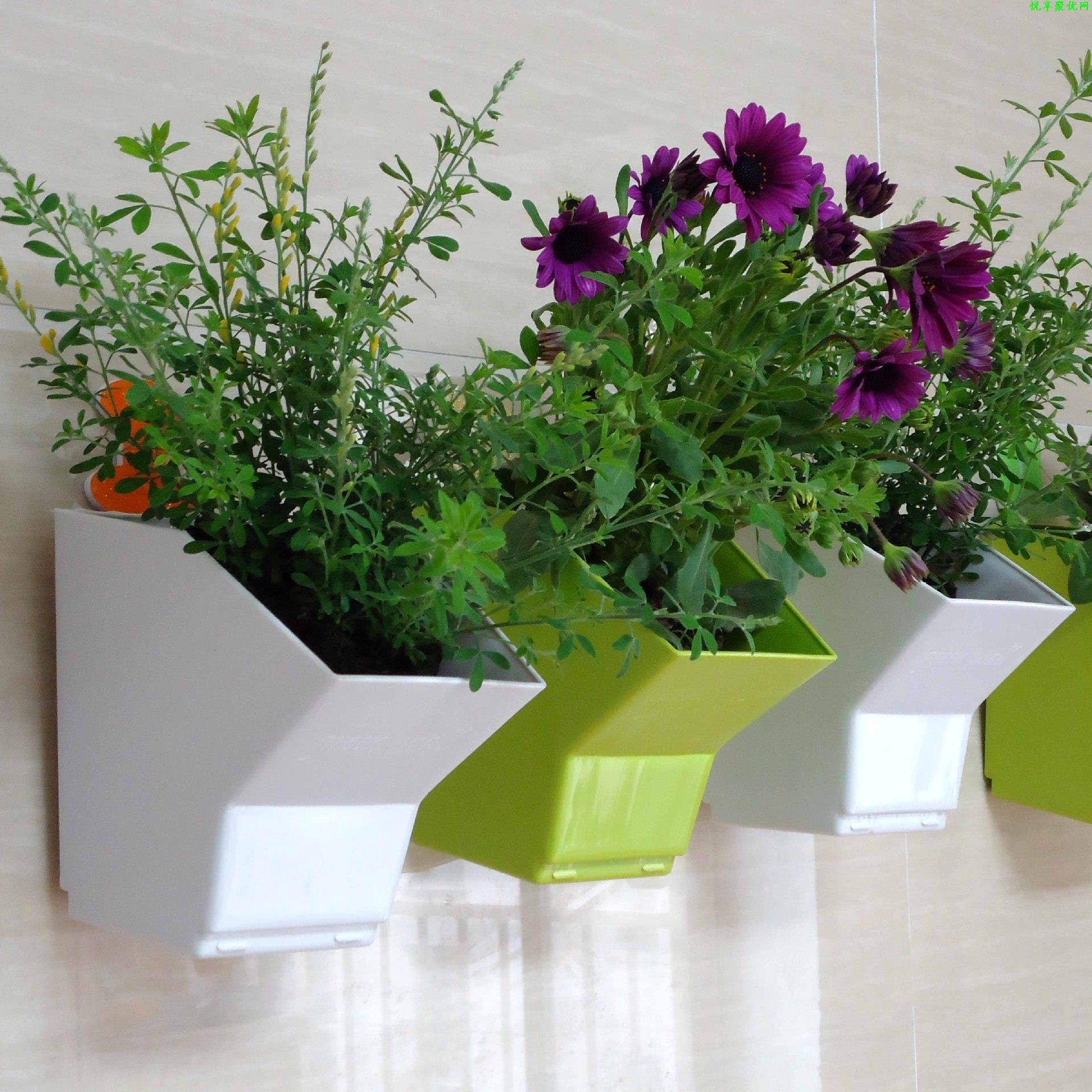 2 pcs Wall Hanging Planter Flo - Bonsai Vertical Garden avaliação e preço