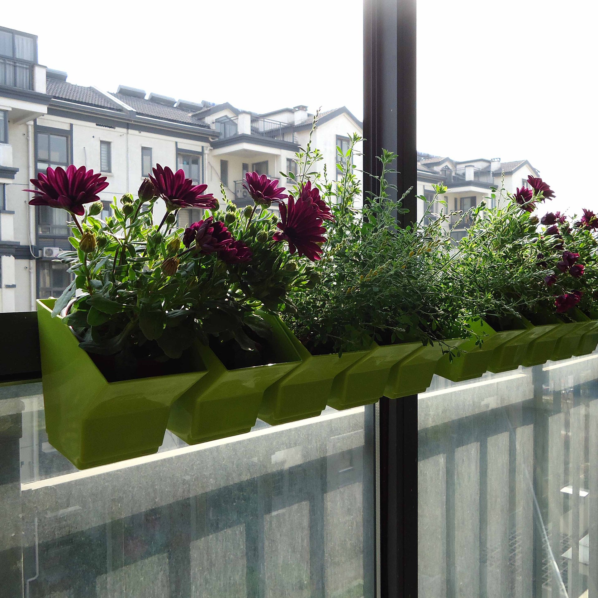 2 pcs Wall Hanging Planter Flo - Bonsai Vertical Garden avaliação e preço