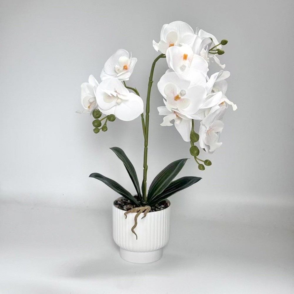 Multi-Bloom Simulated Butterfl - Bonsai Garden Kit avaliação e preço