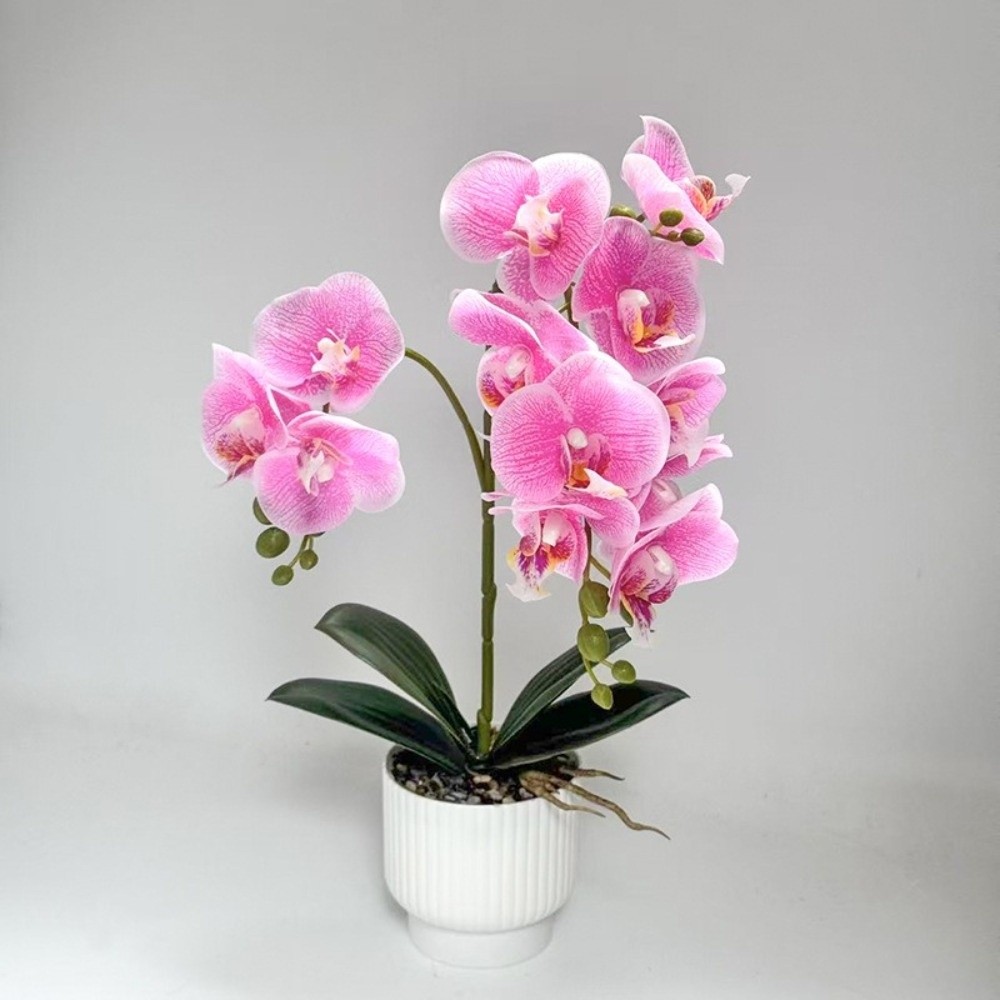 Multi-Bloom Simulated Butterfl - Bonsai Garden Kit avaliação e preço
