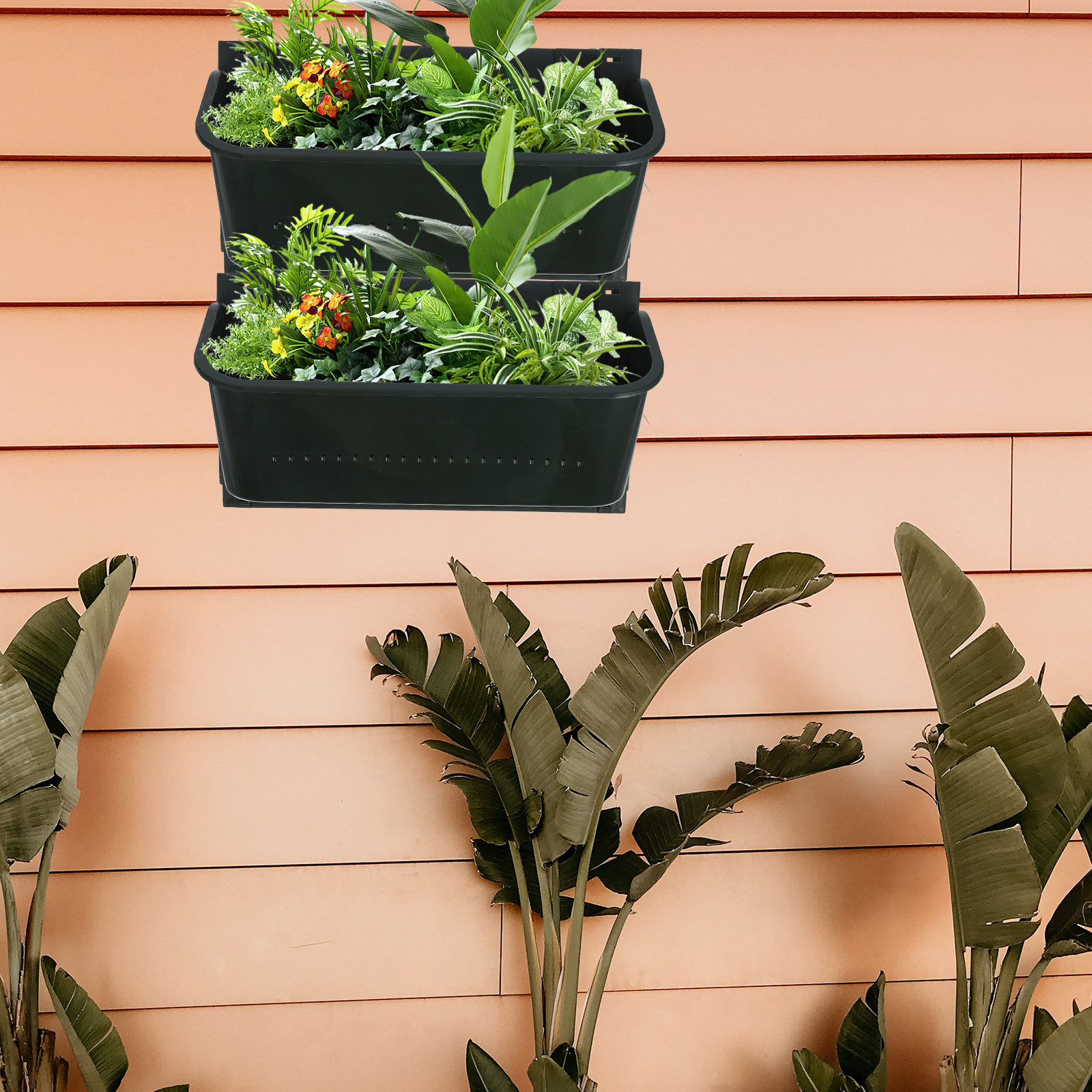 Space Saving Wall Hanging Plan - Bonsai Vertical Garden avaliação e preço