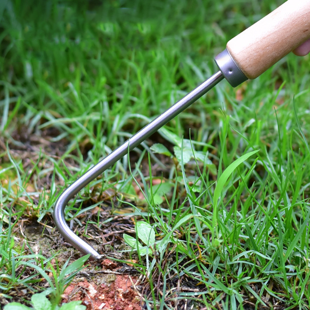 1PC Single Claw Hook Soil Loos - Bonsai Garden Kit avaliação e preço