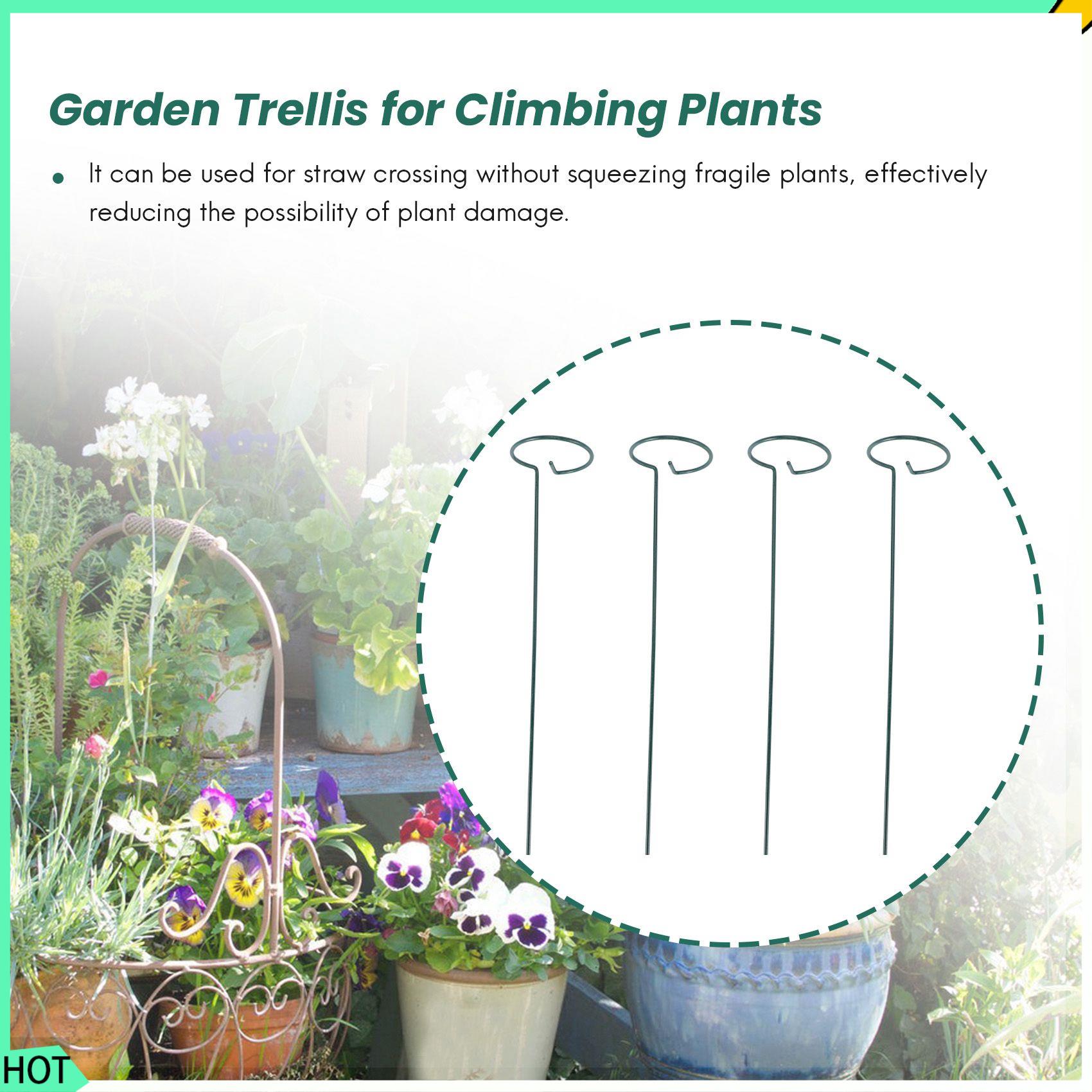 AWAH 8PCS Beautiful Plant Supp - Bonsai Garden Backyard avaliação e preço