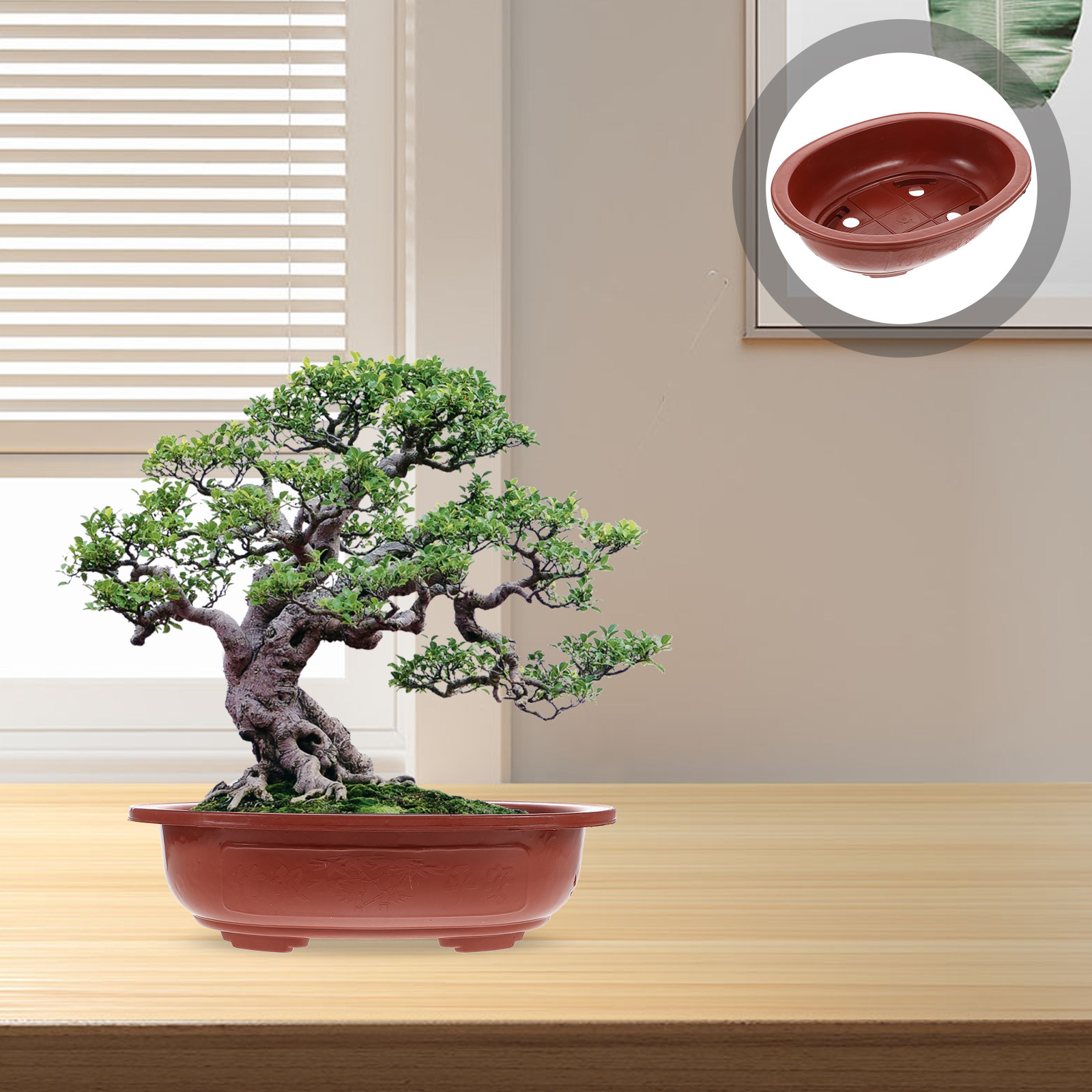 4Pcs Thickened Plastic Bonsai  - Bonsai Vertical Garden avaliação e preço