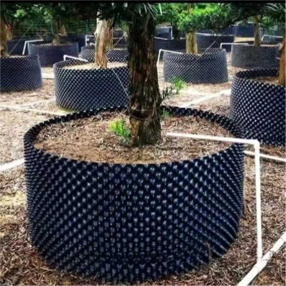 Grow Container Garden Tree Bon - Us Bonsai Garden avaliação e preço