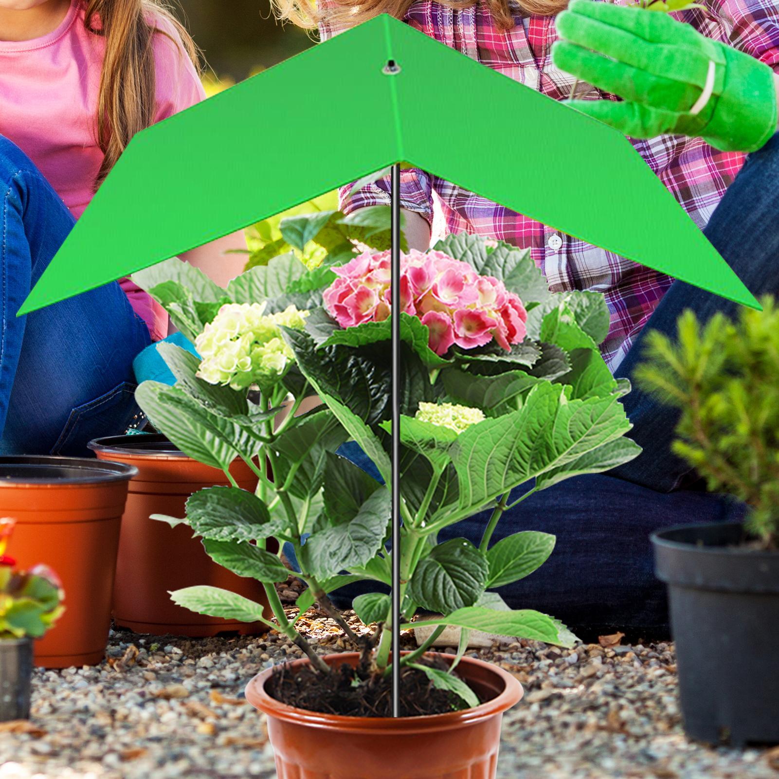 Plant Umbrella Anti-UV Heat Re - Bonsai Garden Backyard avaliação e preço