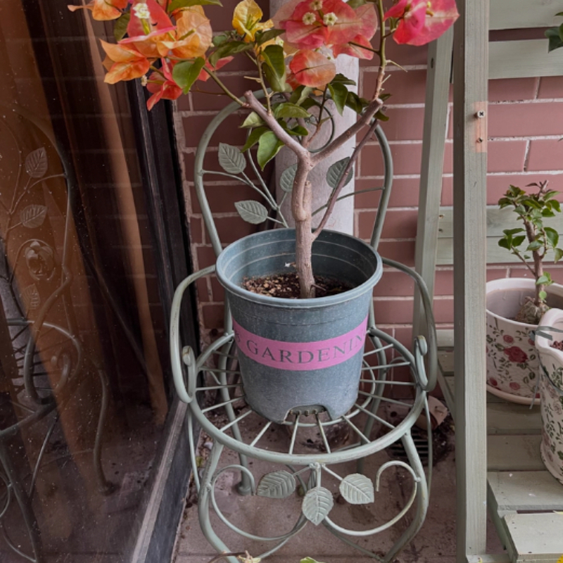 Iron Rose Flower Stand Stool V - Bonsai Vertical Garden avaliação e preço