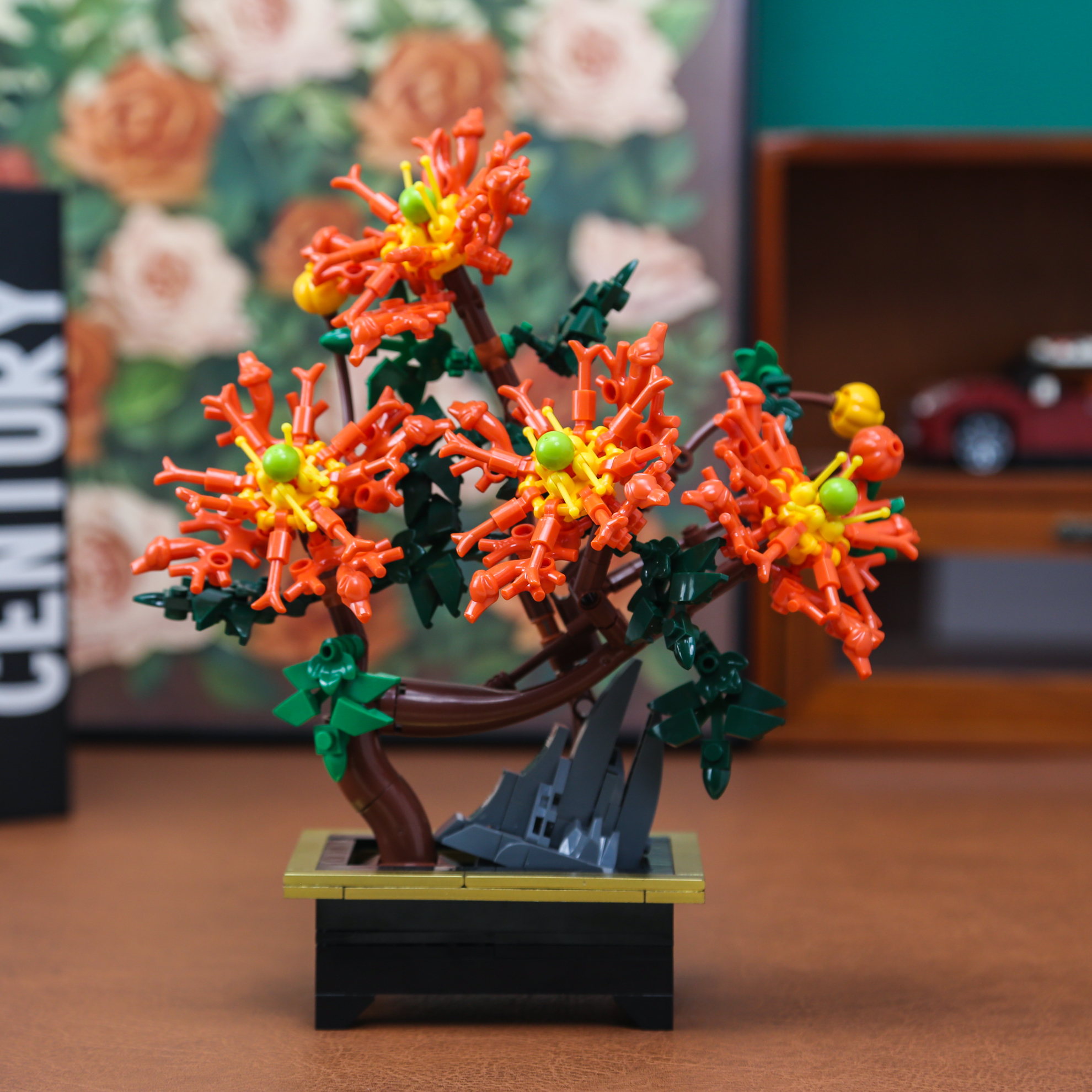 Dragon Claw Chrysanthemum Bons - Bonsai Garden Kit avaliação e preço