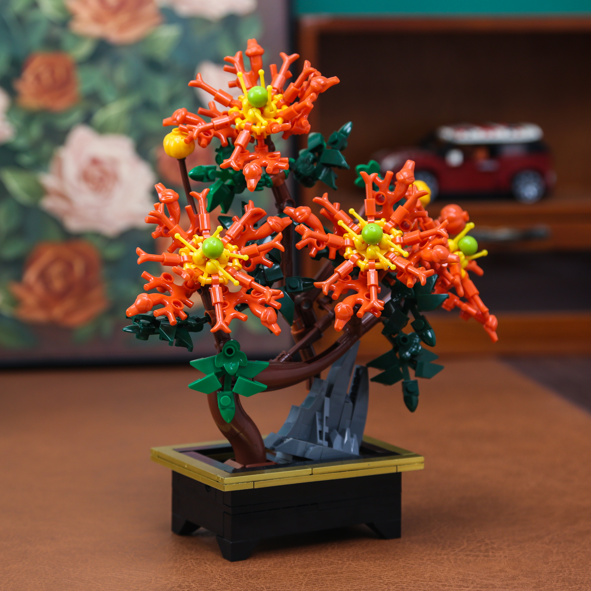 Dragon Claw Chrysanthemum Bons - Bonsai Garden Kit avaliação e preço