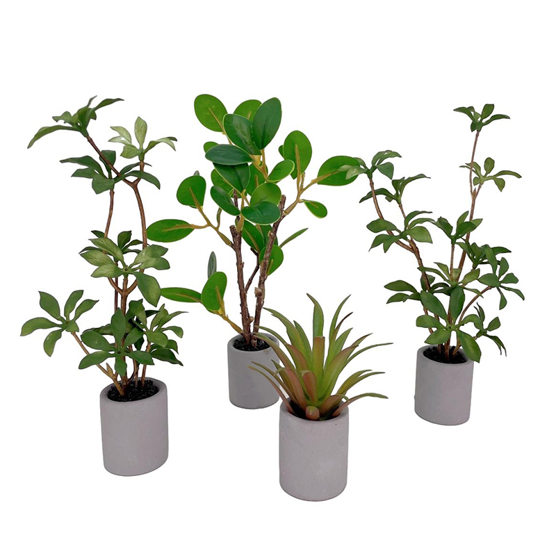 1:6 Dollhouse Miniature Potted - Bonsai Garden Kit avaliação e preço
