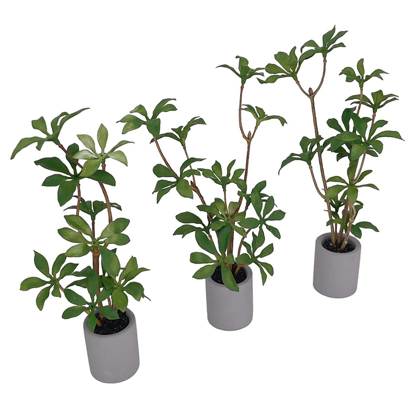 1:6 Dollhouse Miniature Potted - Bonsai Garden Kit avaliação e preço