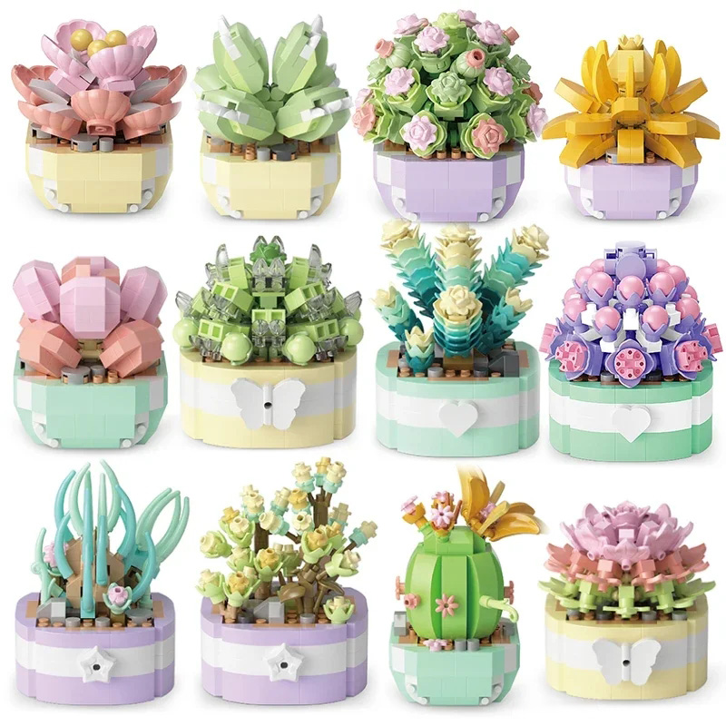Flower Succulents Building Blo - Bonsai Garden Kit avaliação e preço