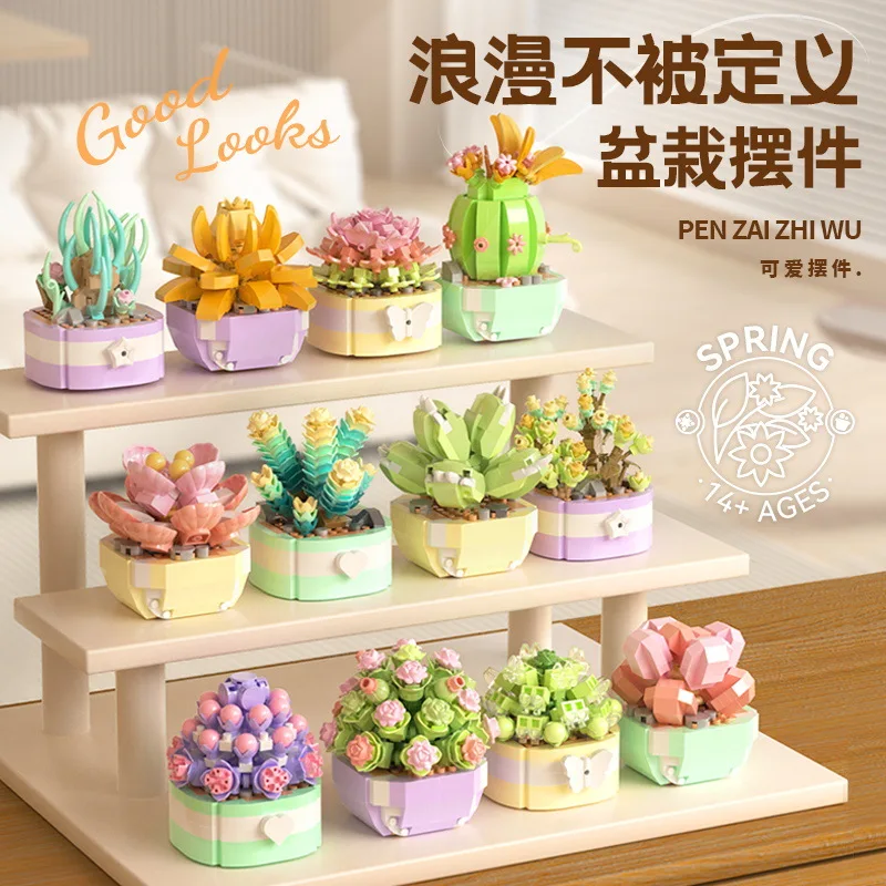 Flower Succulents Building Blo - Bonsai Garden Kit avaliação e preço