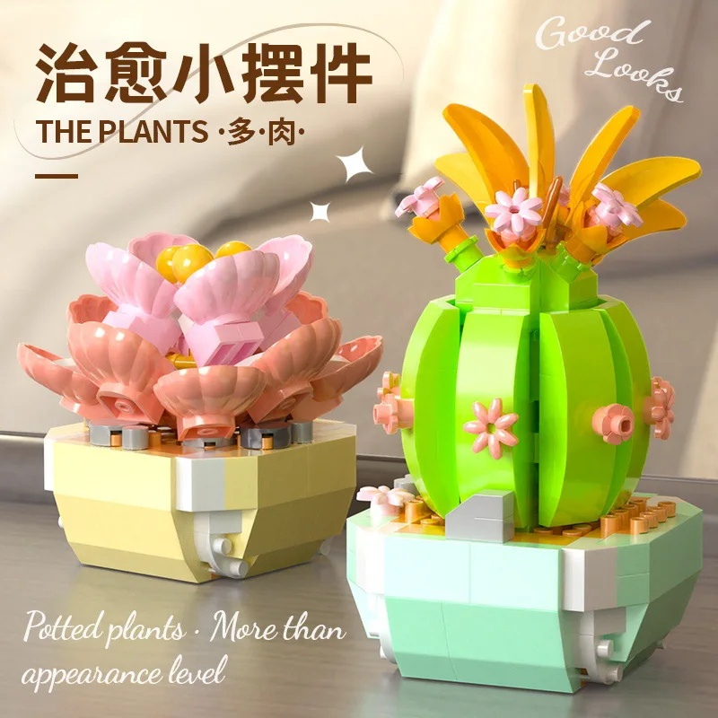Flower Succulents Building Blo - Bonsai Garden Kit avaliação e preço