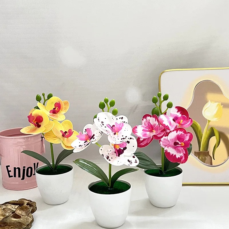 1Pcs 20CM Simulation Plants Po - Bonsai Garden Kit avaliação e preço