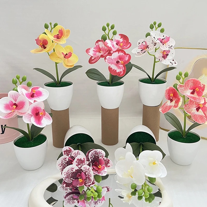 1Pcs 20CM Simulation Plants Po - Bonsai Garden Kit avaliação e preço