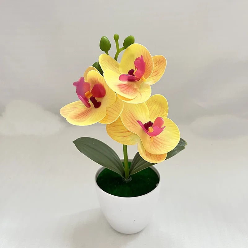 1Pcs 20CM Simulation Plants Po - Bonsai Garden Kit avaliação e preço