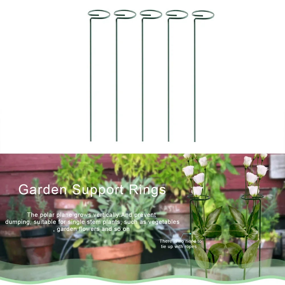 Metal Long Backyard Bonsai Sin - Bonsai Garden Backyard avaliação e preço