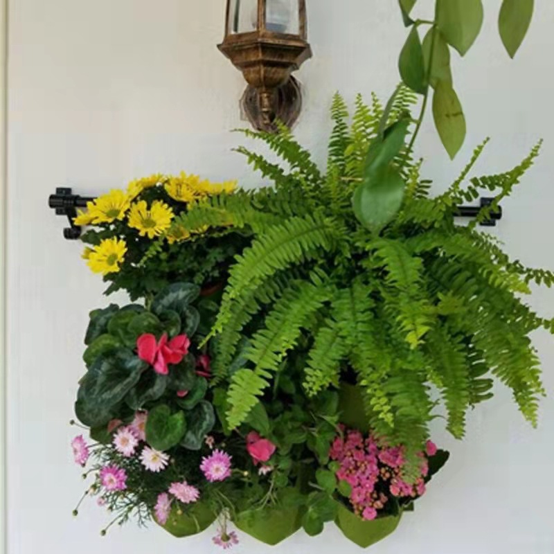 Wall Hanging Planting Bag Mult - Bonsai Vertical Garden avaliação e preço
