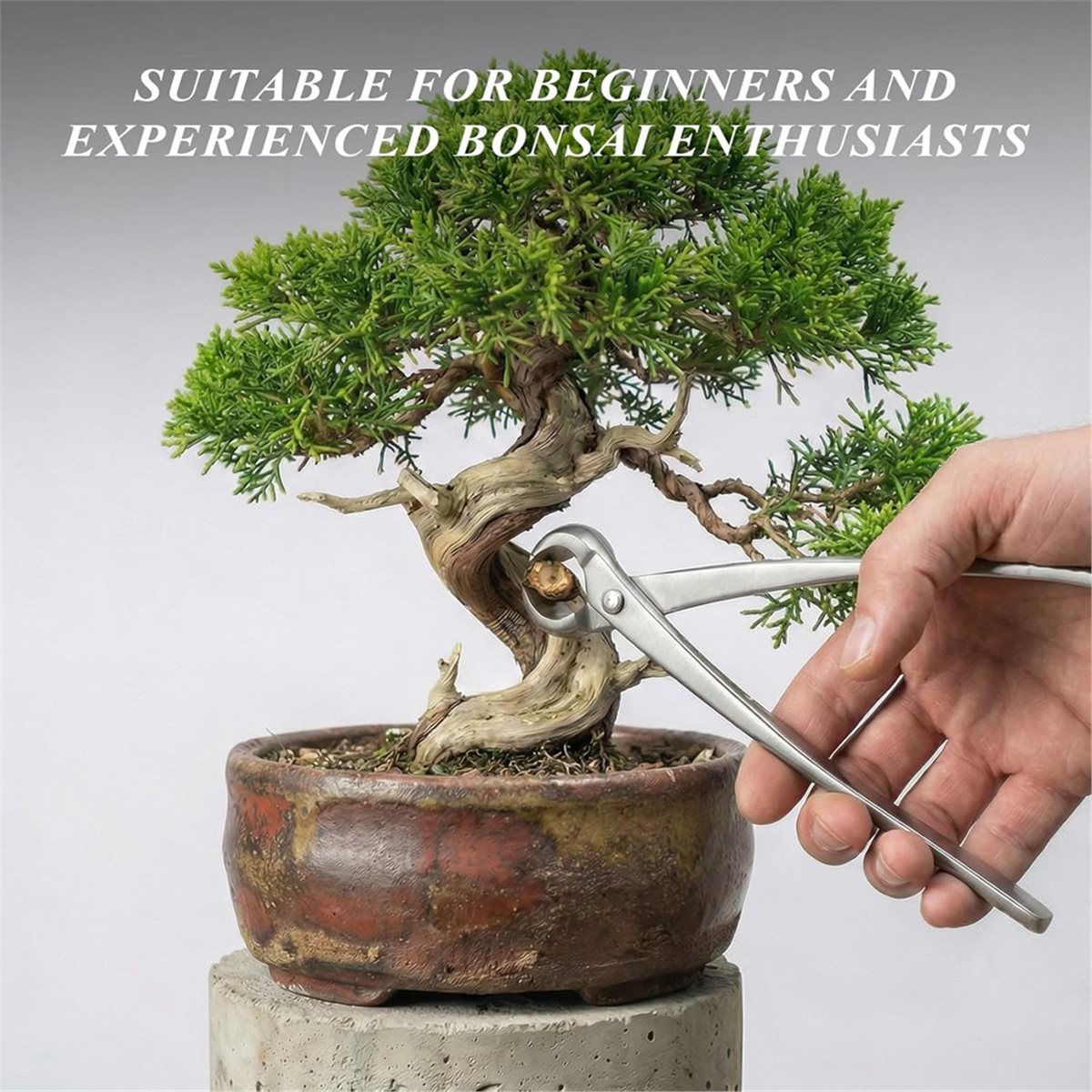 AWAH Bonsai Tools Set- High-Ca - Bonsai Tool Set avaliação e preço