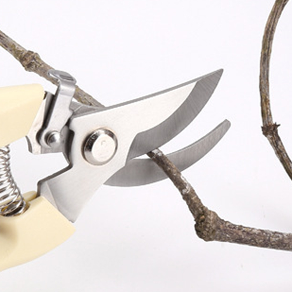 Pruner Shears Hand Tools Bonsa - Bonsai Tool Set avaliação e preço