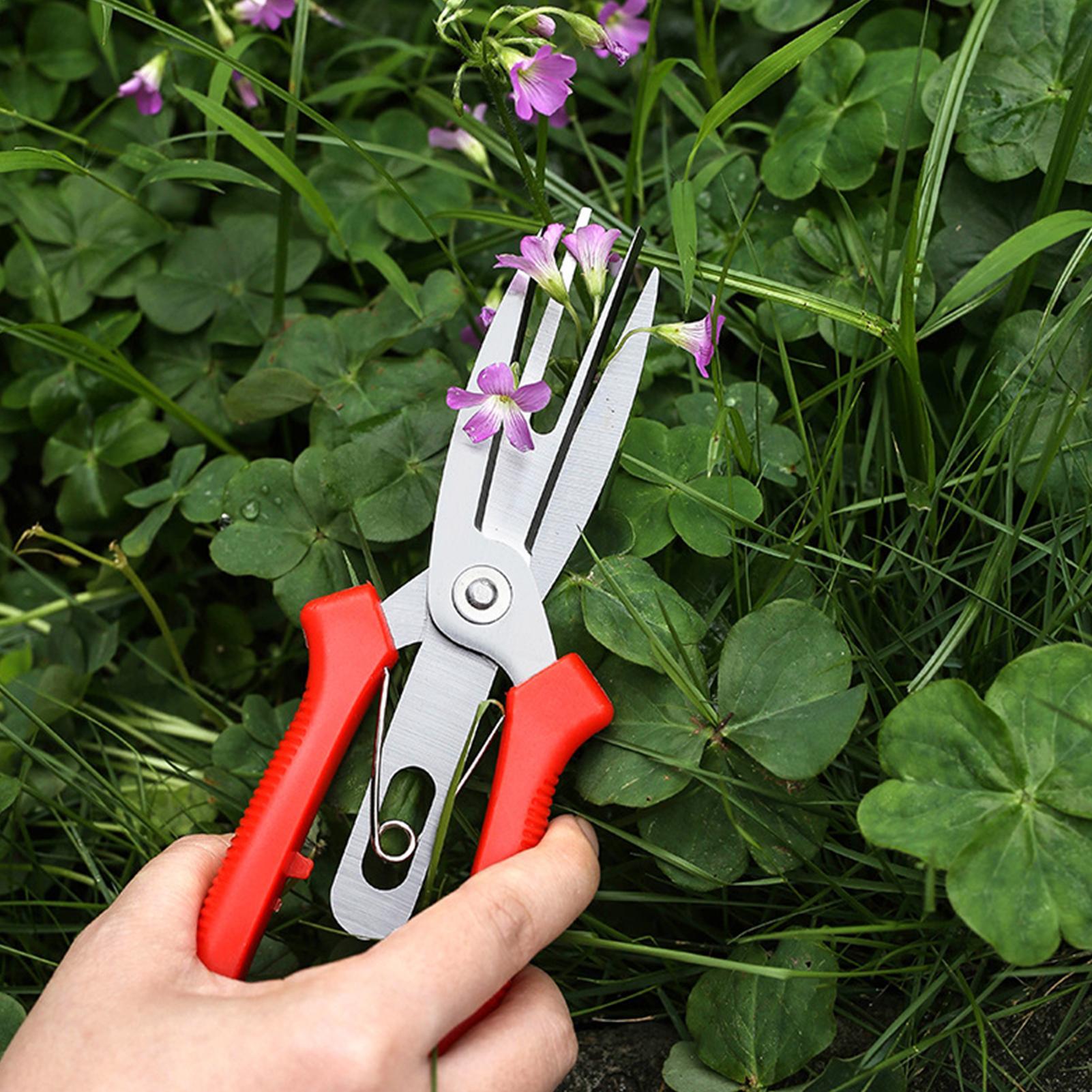 Garden Shears Stainless Steel  - Us Bonsai Garden avaliação e preço