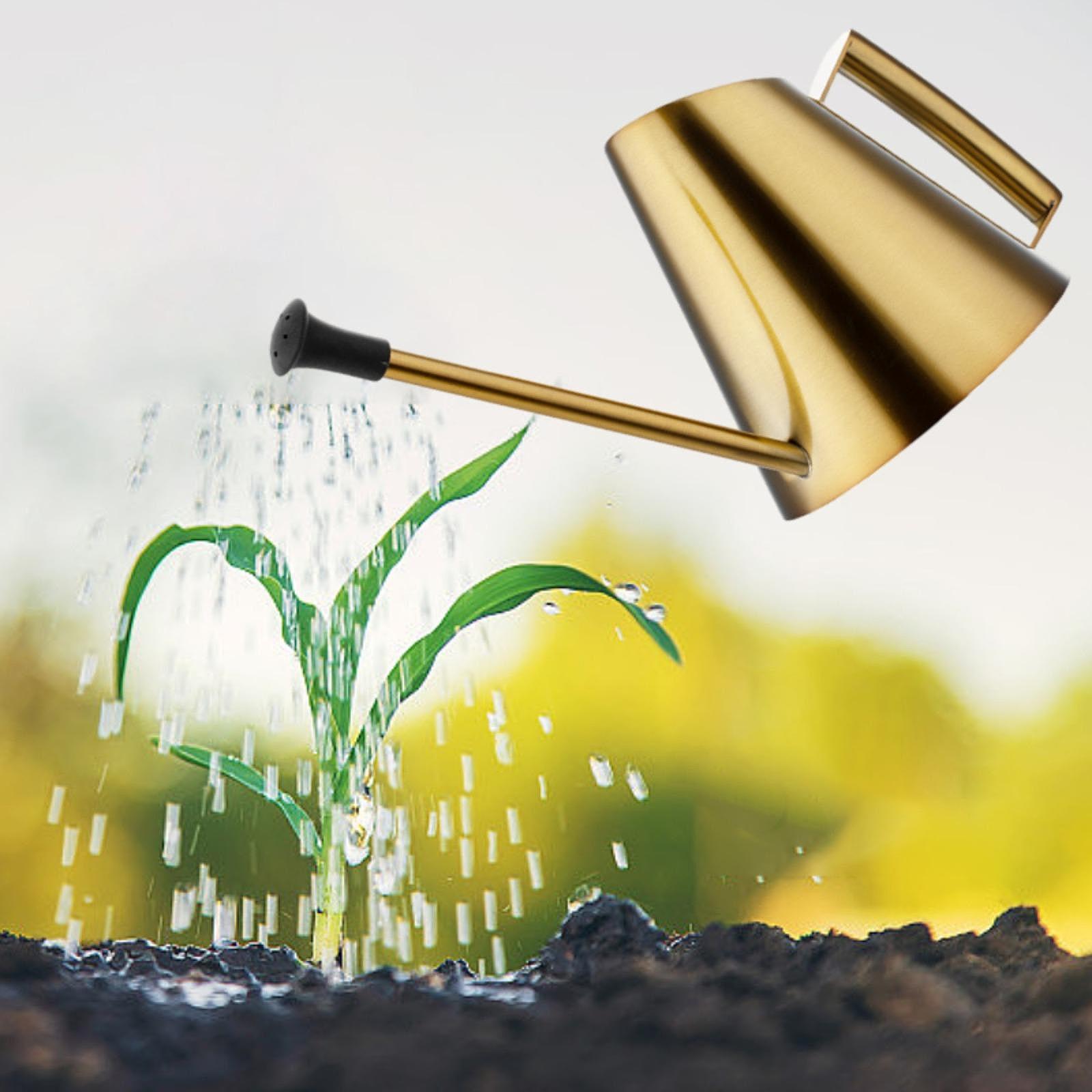 900ml Watering Can Sprinkler H - Bonsai Garden Backyard avaliação e preço