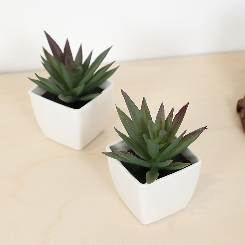 Mini Artificial Succulent Fair - Bonsai Garden Kit avaliação e preço