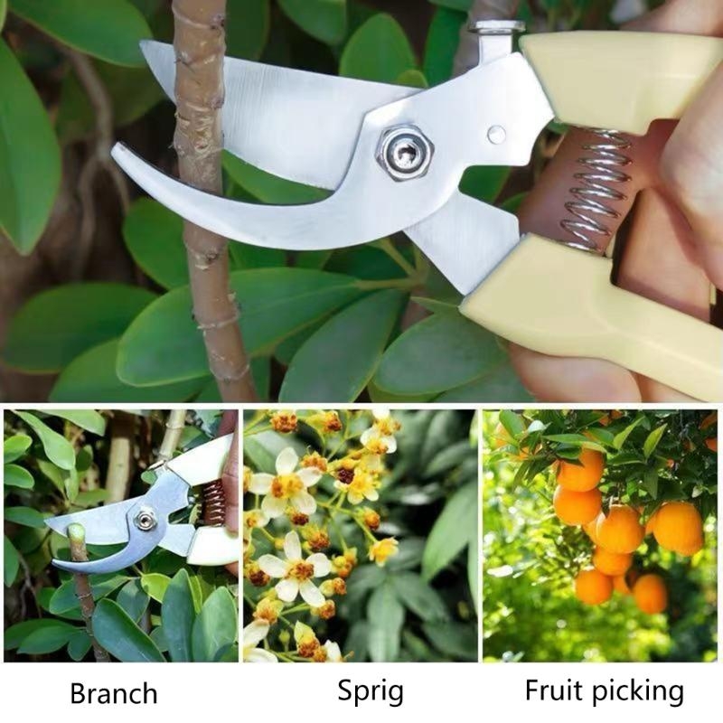 Fruit Bonsai Picking Scissors  - Bonsai Garden Hours avaliação e preço