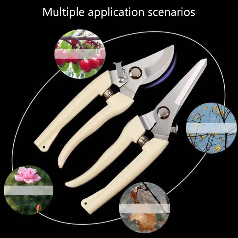 Fruit Bonsai Picking Scissors  - Bonsai Garden Hours avaliação e preço