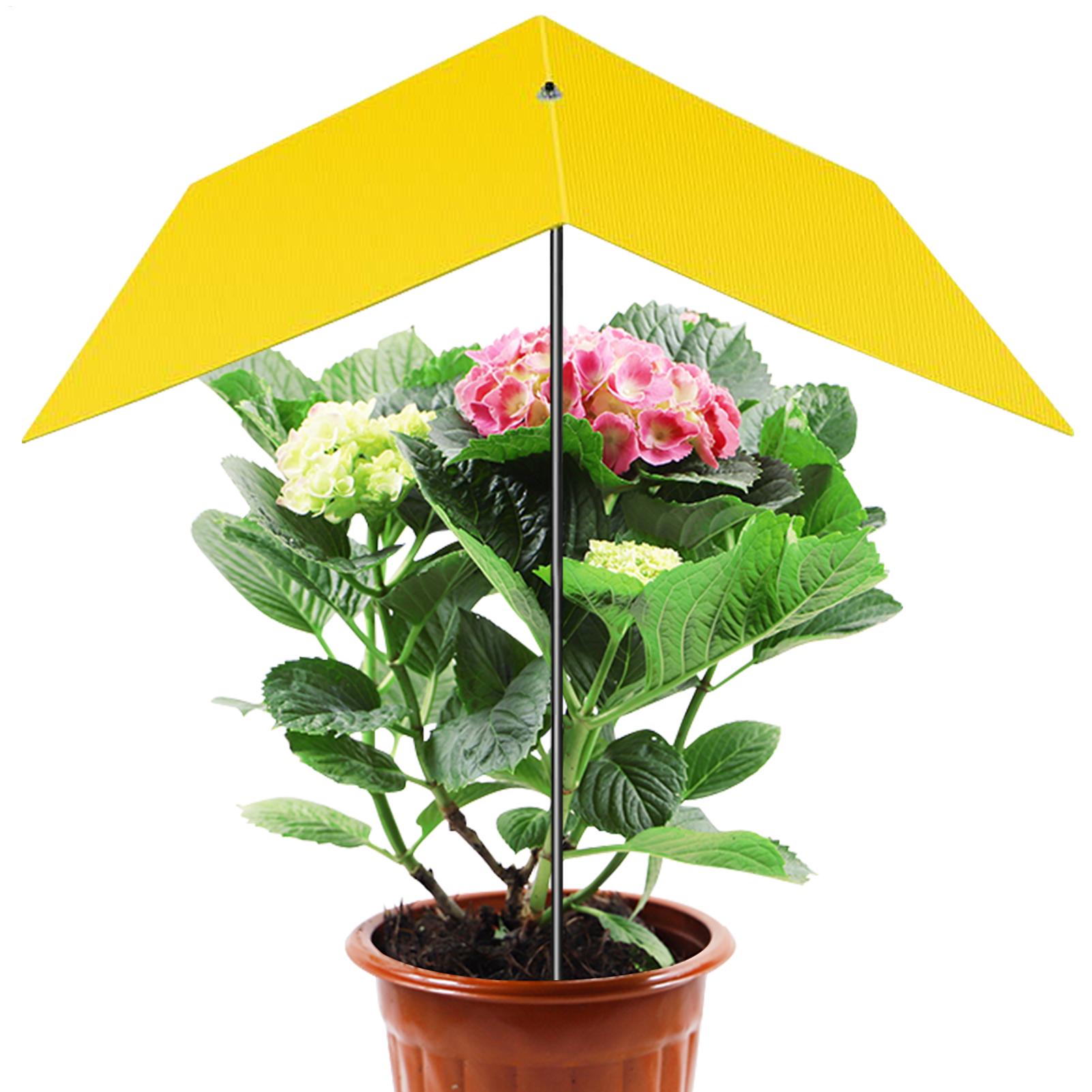 Umbrellas For Outdoor Plants U - Bonsai Garden Backyard avaliação e preço