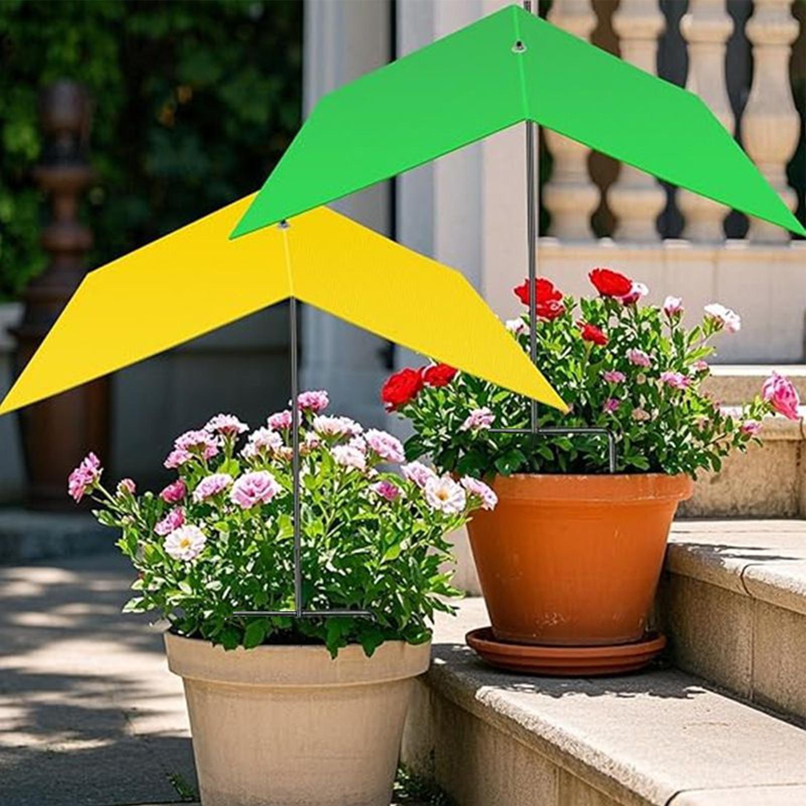 Umbrellas For Outdoor Plants U - Bonsai Garden Backyard avaliação e preço