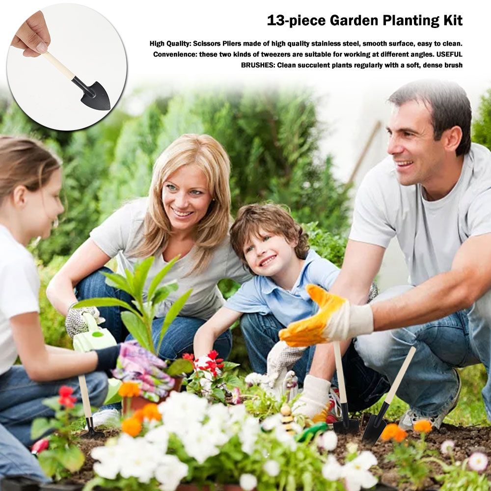 Succulent Plants Tools Mini Ga - Bonsai Tool Set avaliação e preço
