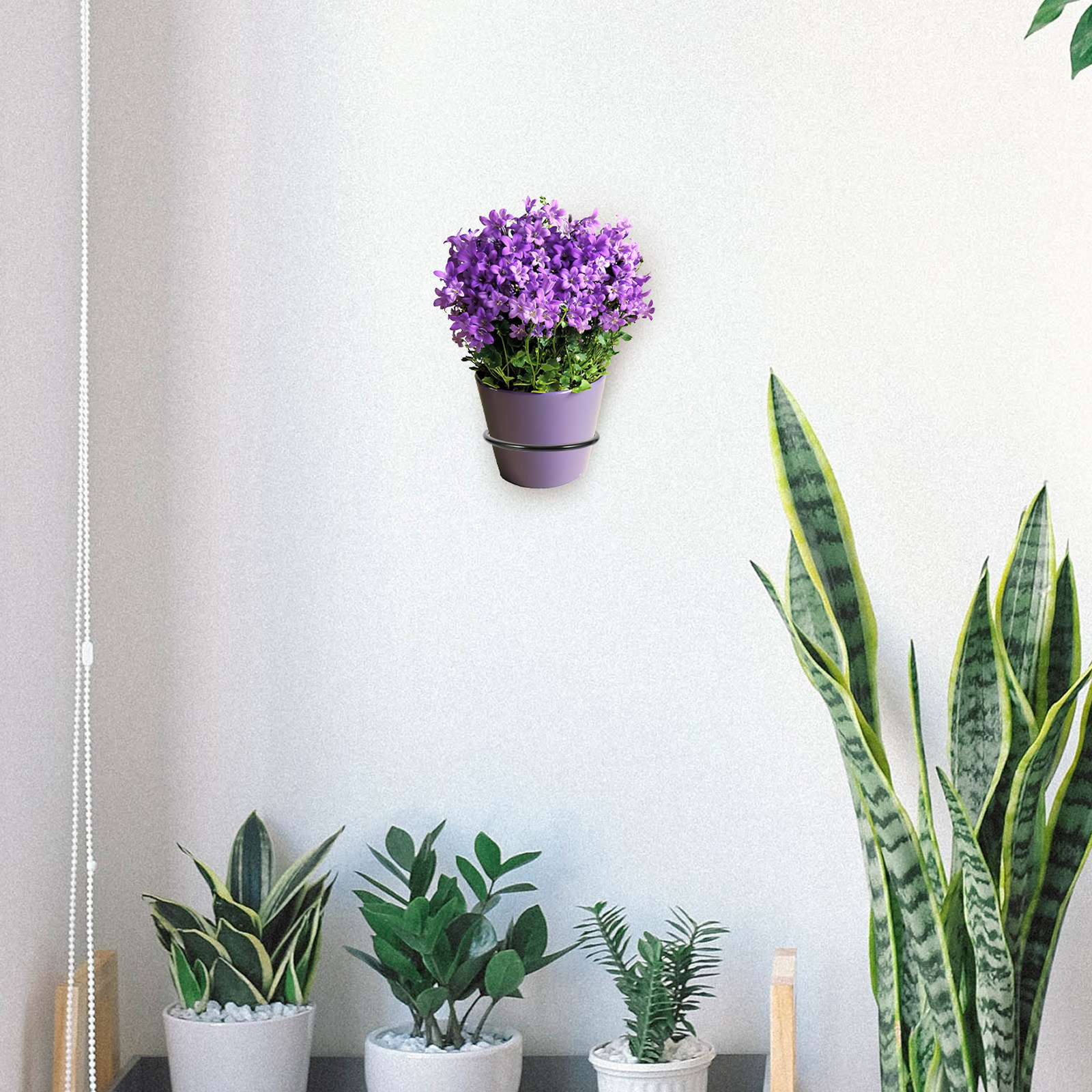 3Pcs Wall-Mounted Flowerpot Ra - Bonsai Vertical Garden avaliação e preço