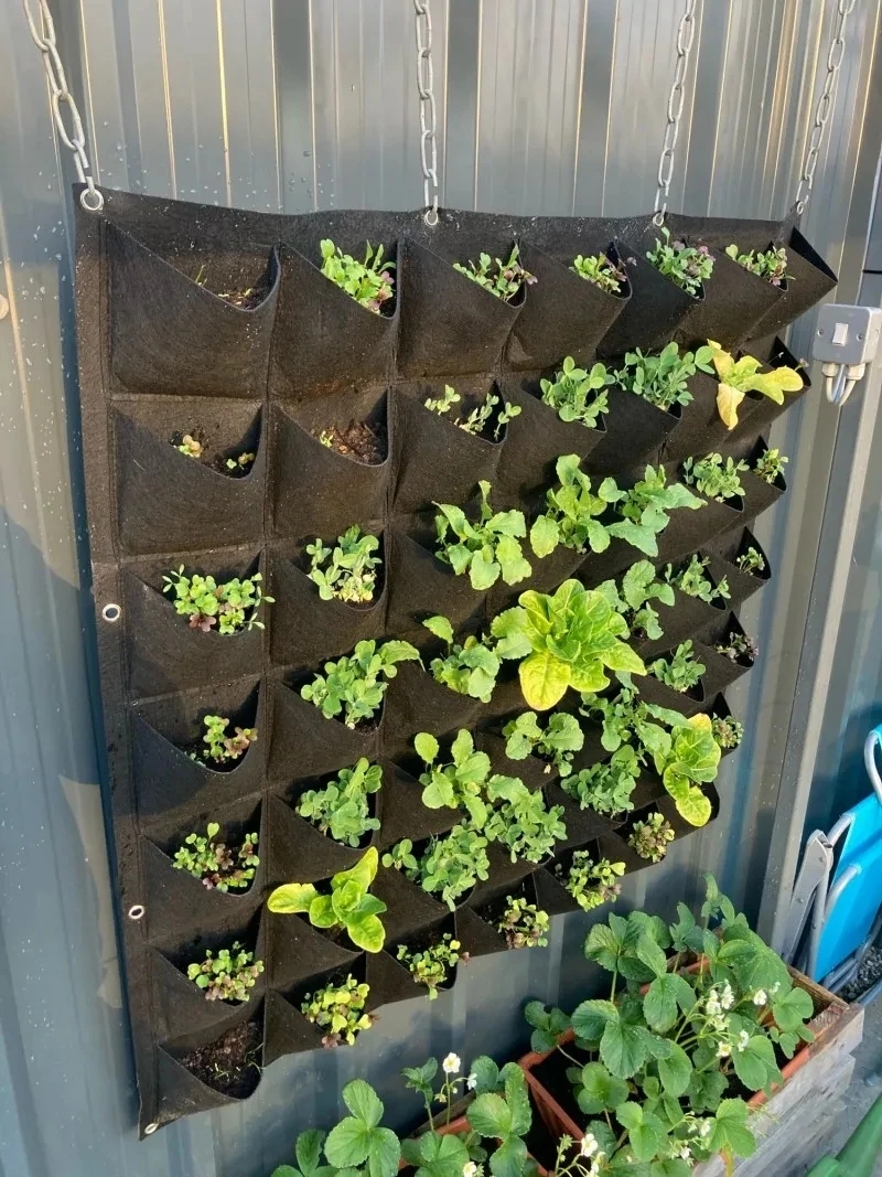 Wall Hanging Planting Bag Mult - Bonsai Vertical Garden avaliação e preço