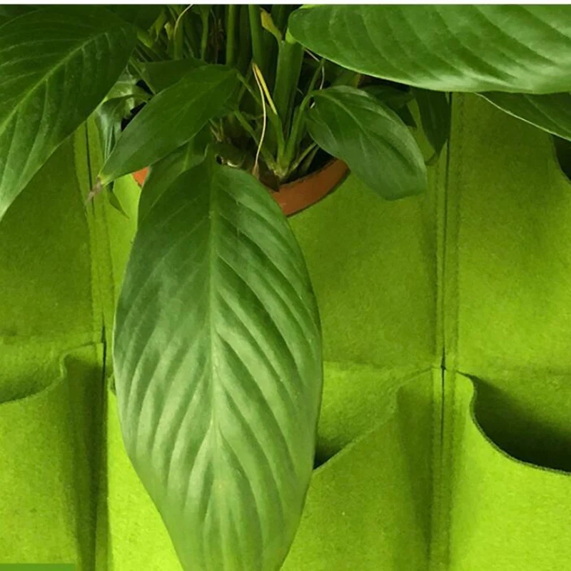 Wall Hanging Planting Bag Mult - Bonsai Vertical Garden avaliação e preço