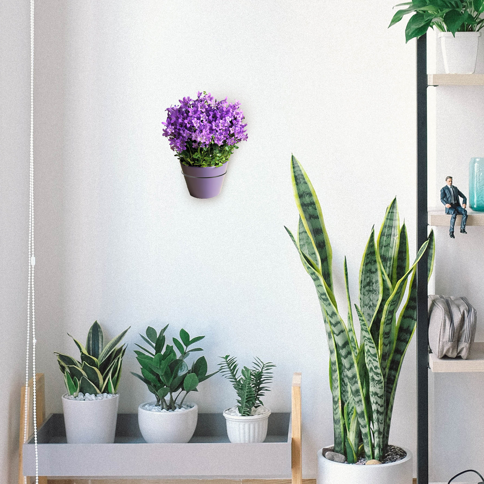 Iron Wall-Mounted Flowerpot Ra - Us Bonsai Garden avaliação e preço