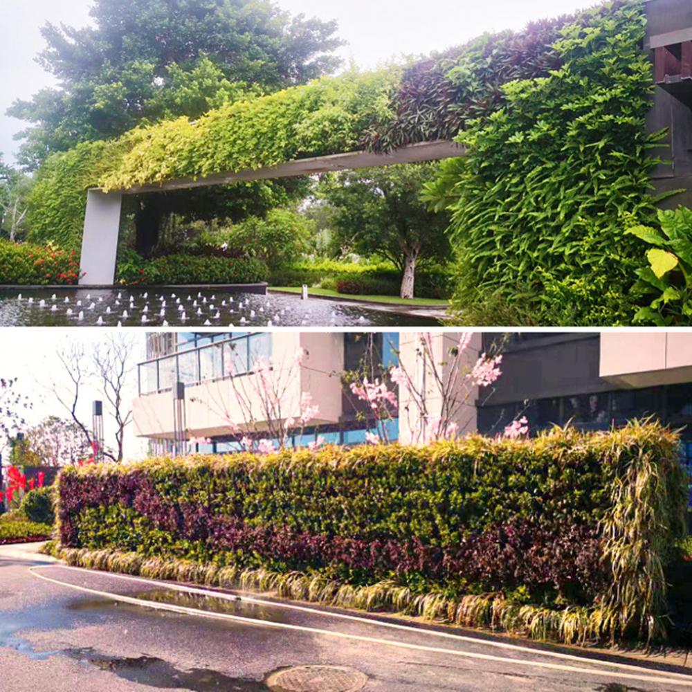 Wall Mounted Forest Box Multi  - Bonsai Vertical Garden avaliação e preço