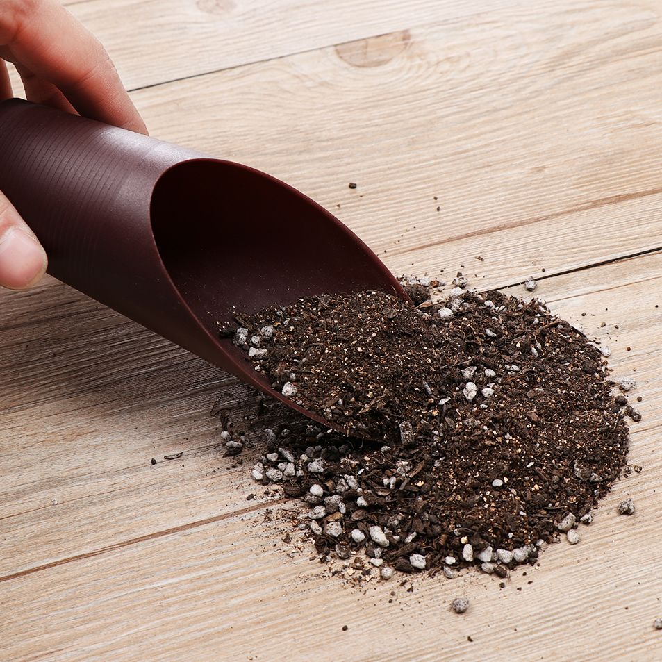 1PC Plastic Soil Shovel Cup Fo - Bonsai Garden Kit avaliação e preço
