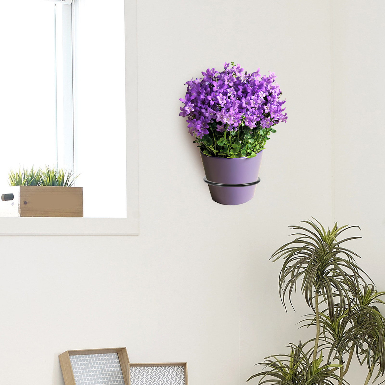 3Pcs Wall-Mounted Plant Pot Ri - Us Bonsai Garden avaliação e preço