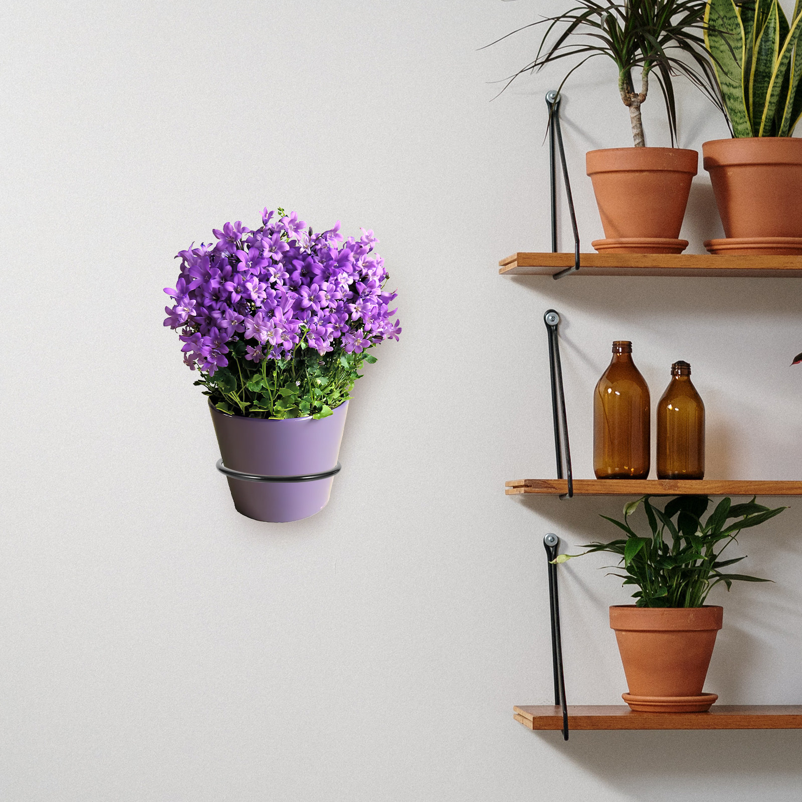 3Pcs Wall-Mounted Plant Pot Ri - Us Bonsai Garden avaliação e preço